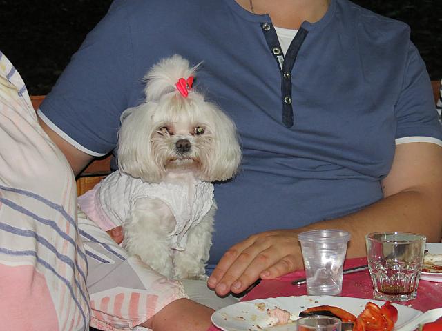 IMG 3407