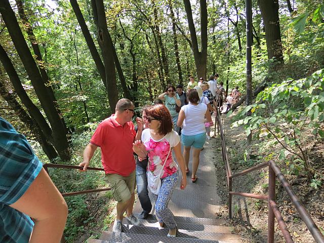IMG 3459