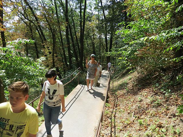 IMG 3463