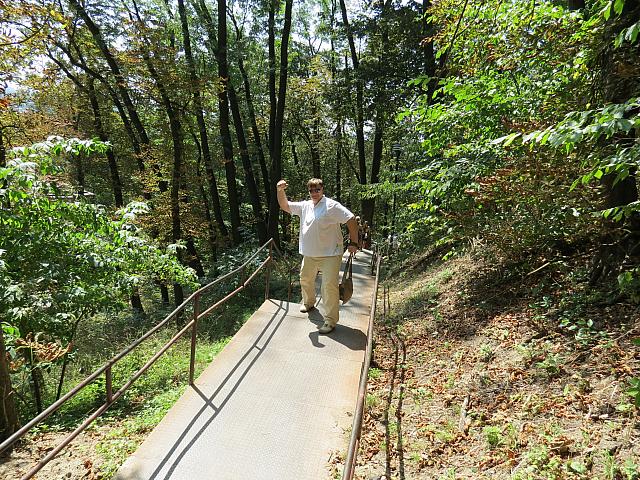 IMG 3464