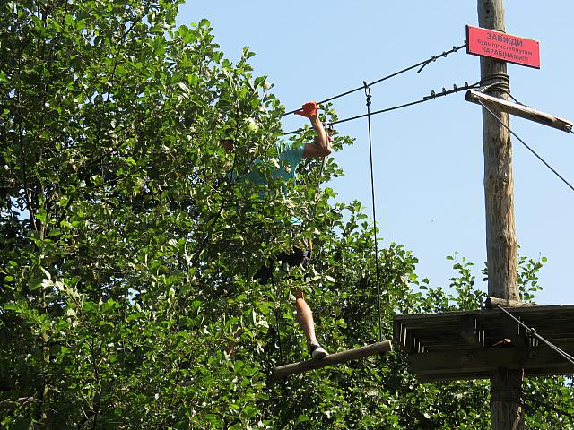 IMG 3503