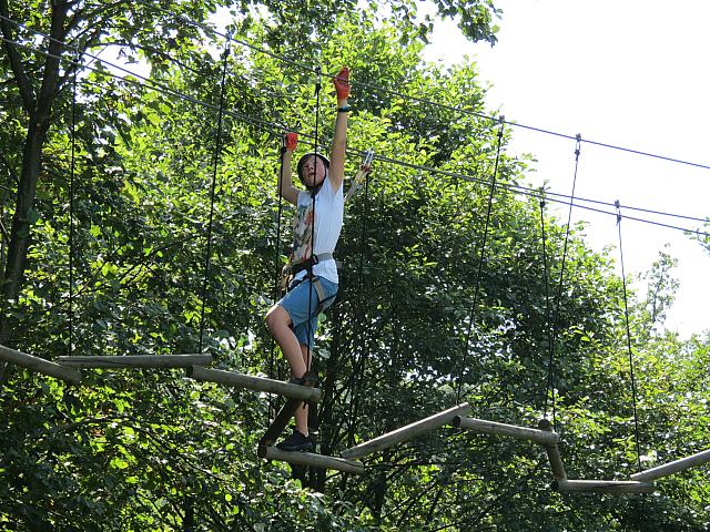 IMG 3513