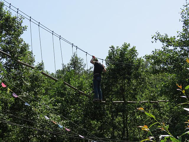 IMG 3516