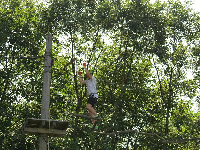 IMG 3517