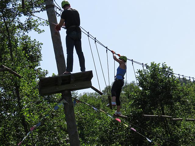 IMG 3524