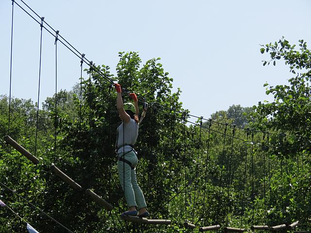 IMG 3527