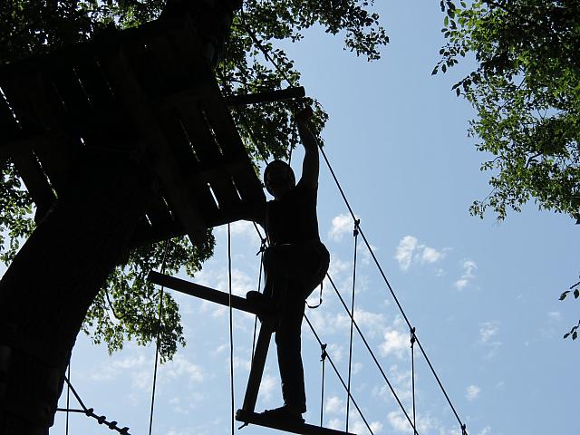 IMG 3552