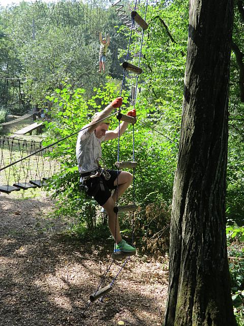 IMG 3555