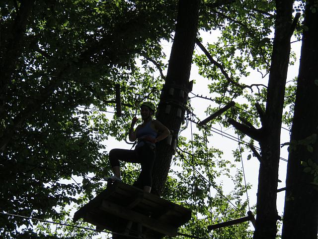 IMG 3562