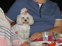 IMG 3407