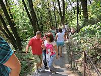 IMG 3459