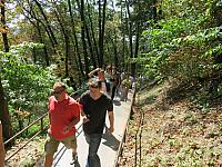 IMG 3461