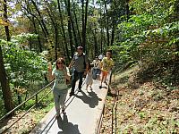 IMG 3462
