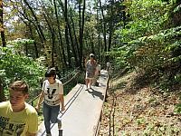 IMG 3463