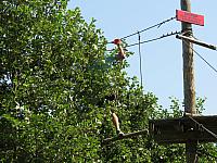 IMG 3503