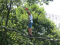 IMG 3514