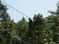 IMG 3516