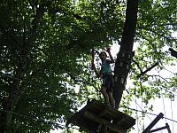 IMG 3519