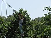 IMG 3527