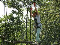 IMG 3529