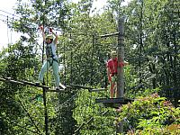 IMG 3530