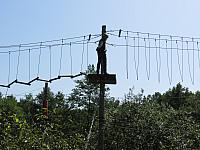 IMG 3532