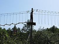 IMG 3533