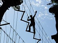 IMG 3550