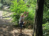 IMG 3551