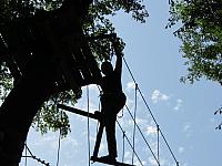 IMG 3552
