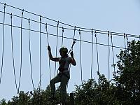 IMG 3556