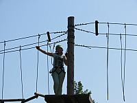 IMG 3558