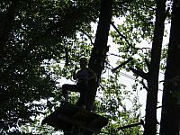 IMG 3562