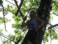 IMG 3565