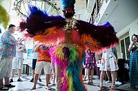 IMG 8534